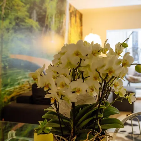 Apartment Zen Life Luxury - Herastrau