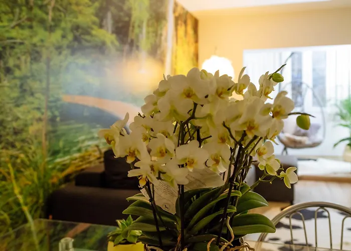 Апартаменты Zen Life Luxury - Herastrau